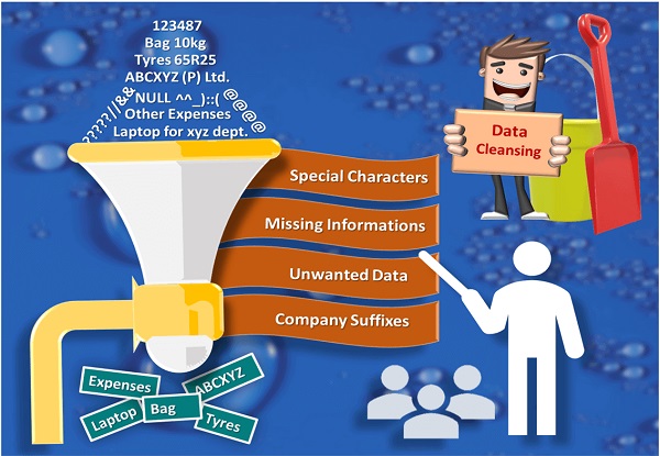Spend Data Cleansing Services